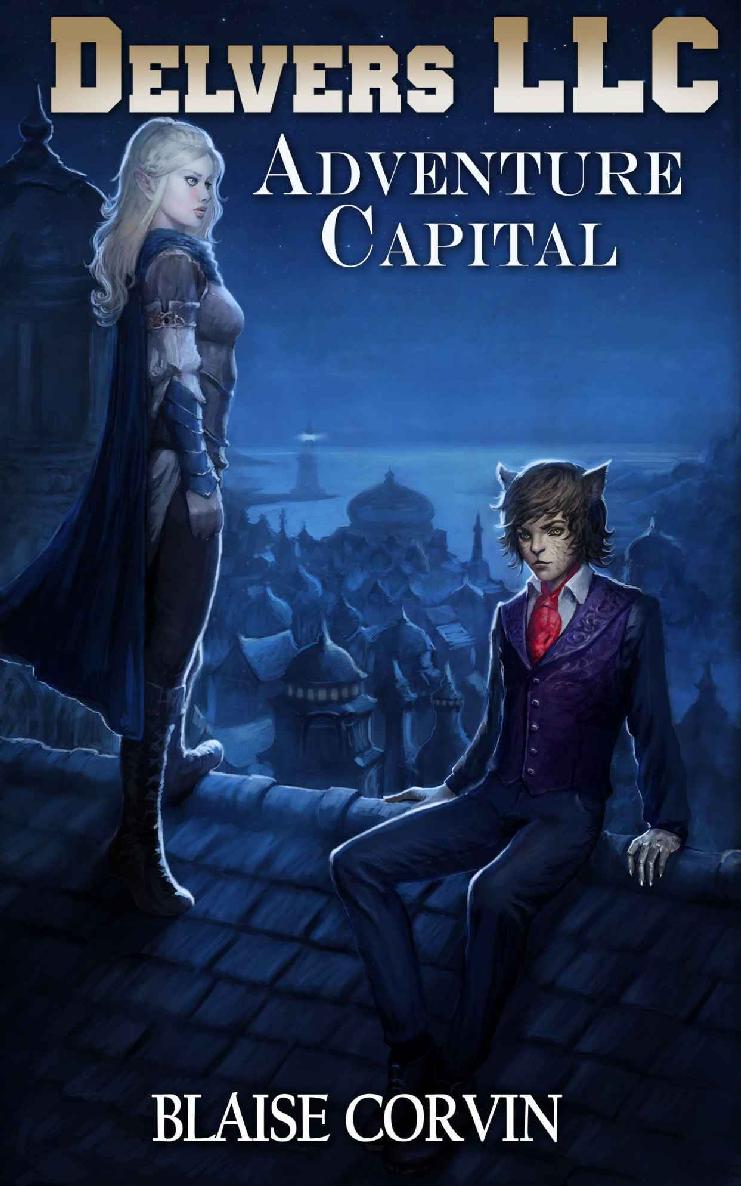 Delvers LLC_Adventure Capital