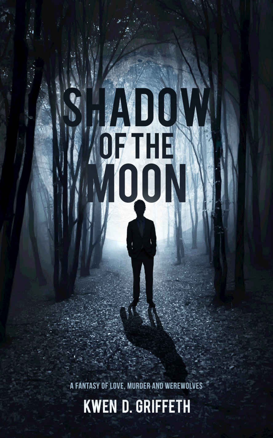Shadow of the Moon