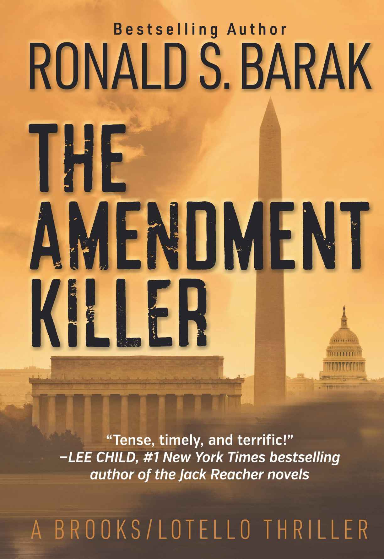 The Amendment Killer