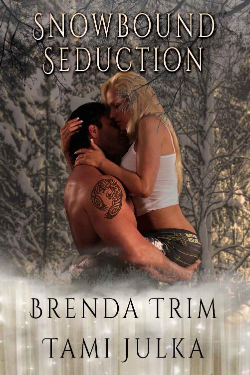 Snowbound Seduction