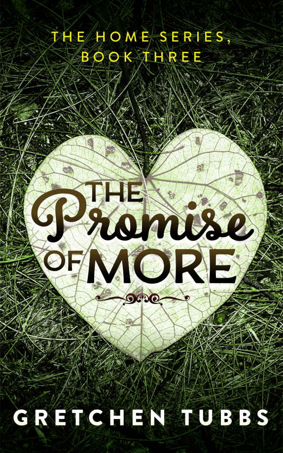 The Promise of More_The Home Series_Book Three