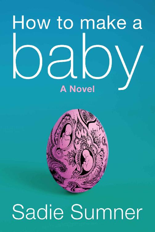 How to Make a Baby_a novel