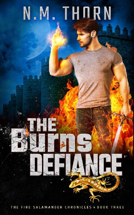 The Burns Defiance