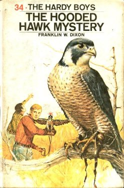 The Hooded Hawk Mystery