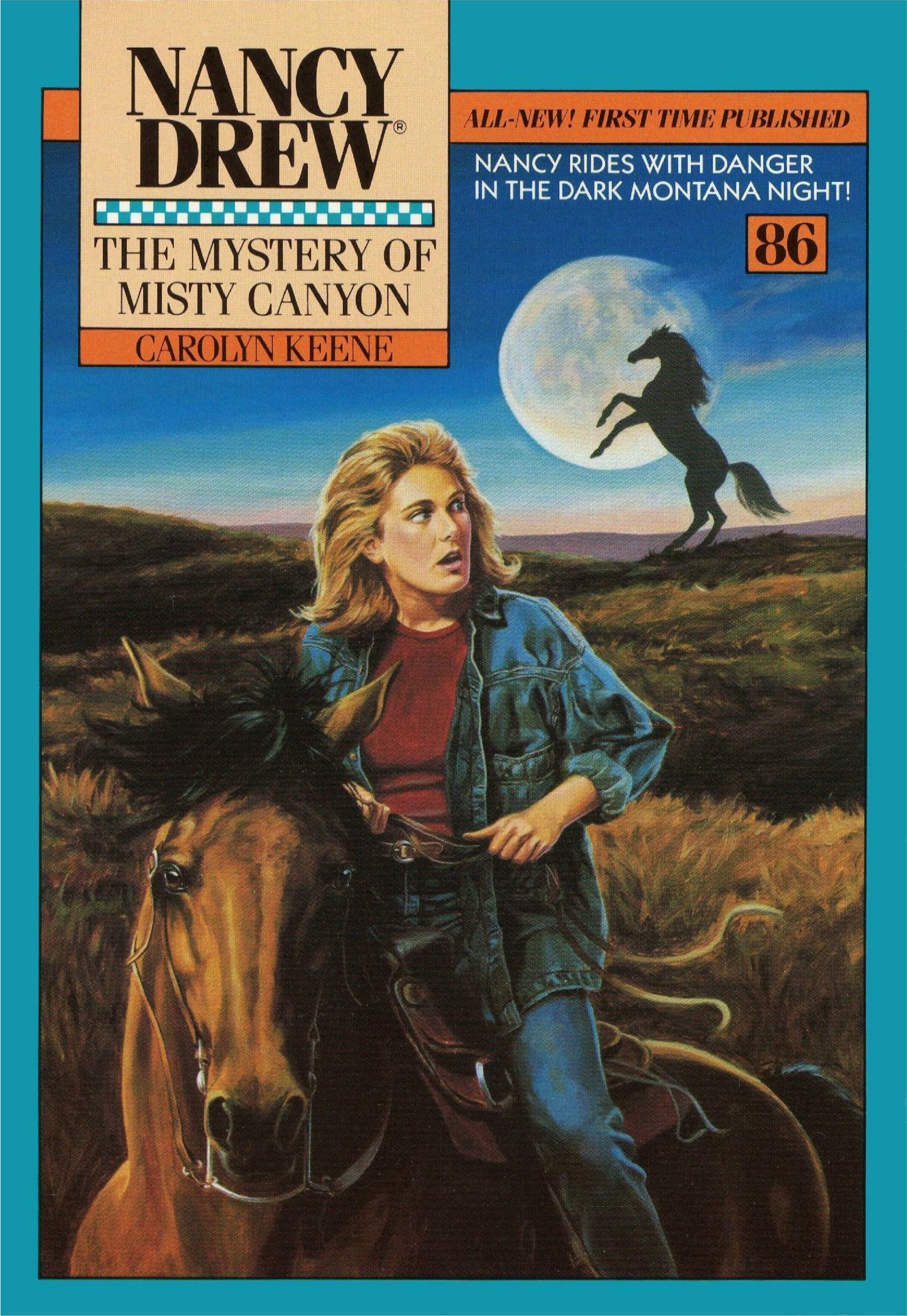 The Mystery of Misty Canyon