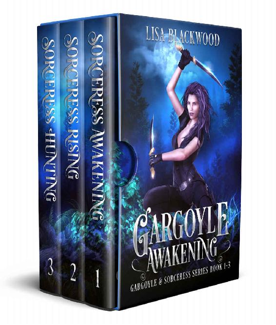 Gargoyle Awakening (Gargoyle and Sorceress Boxset Book 1)