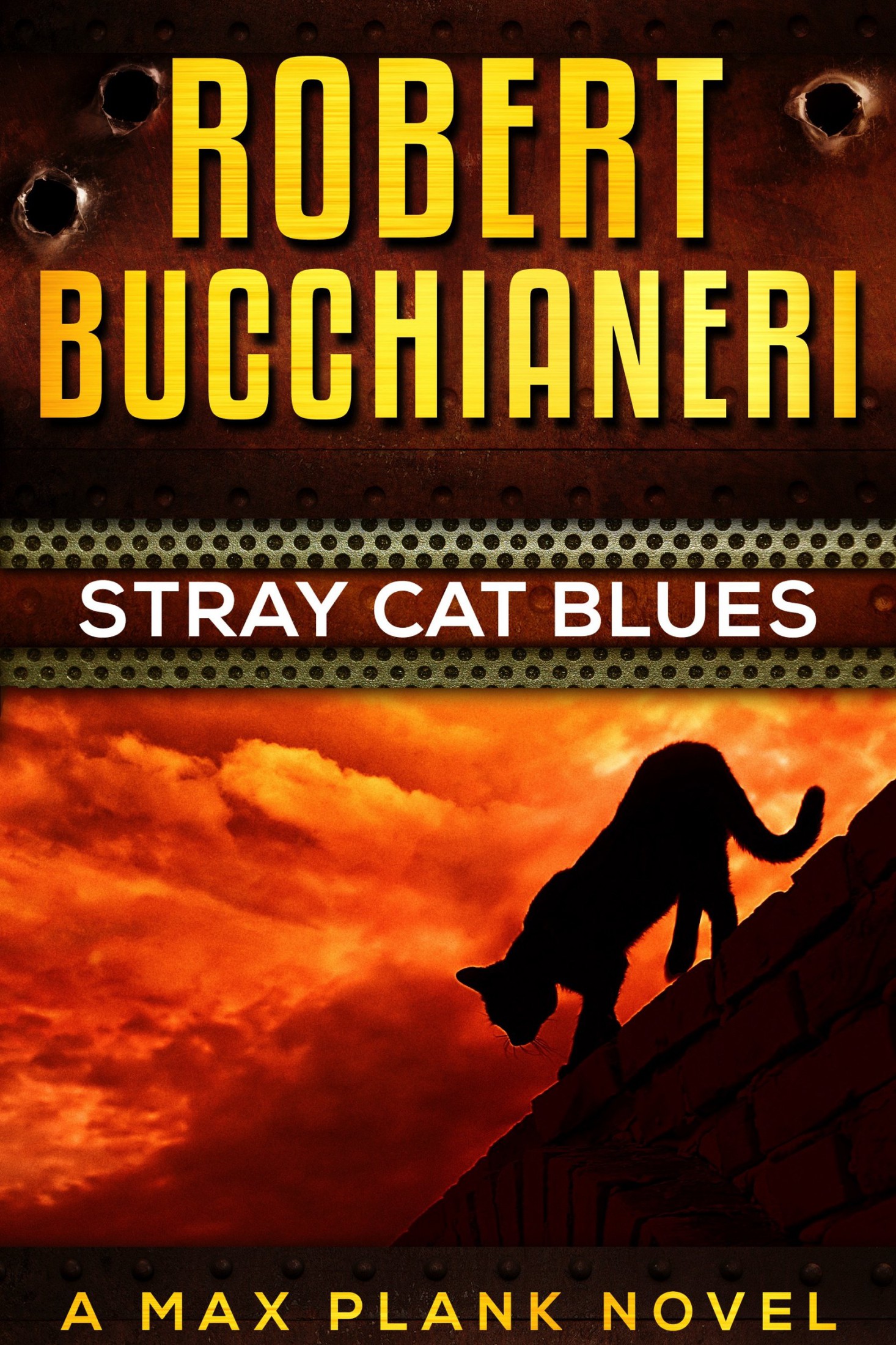 Stray Cat Blues