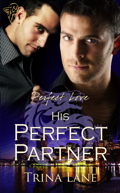 His Perfect Partner