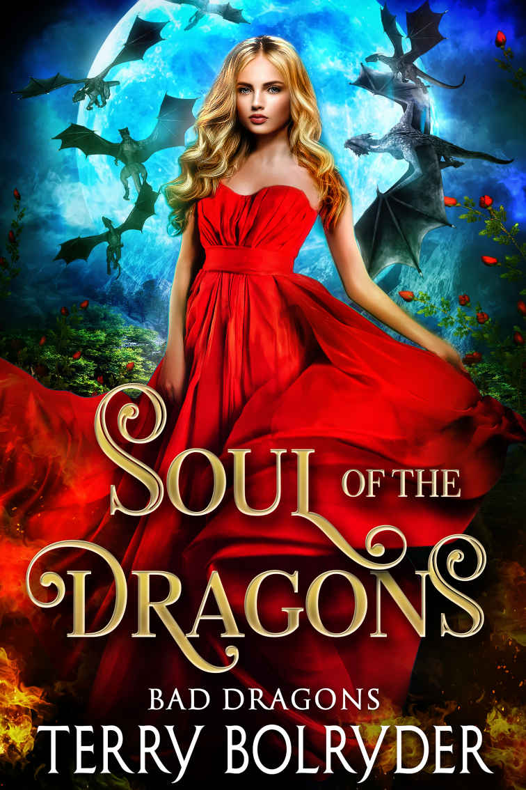 Soul of the Dragons: Bad Dragons