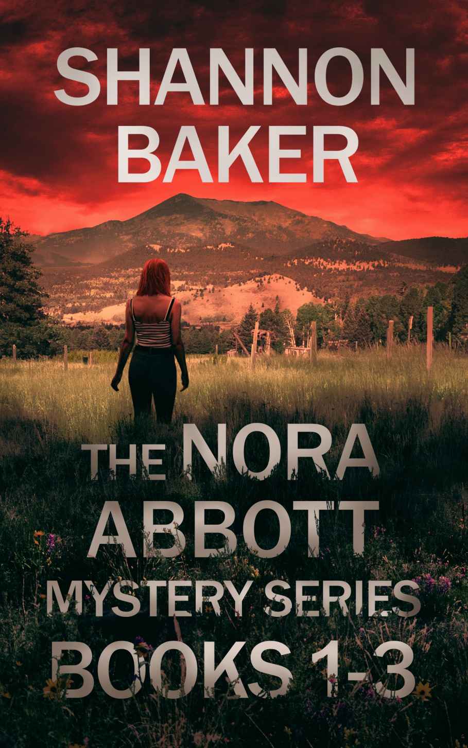 The Nora Abbott Mystery series Box Set
