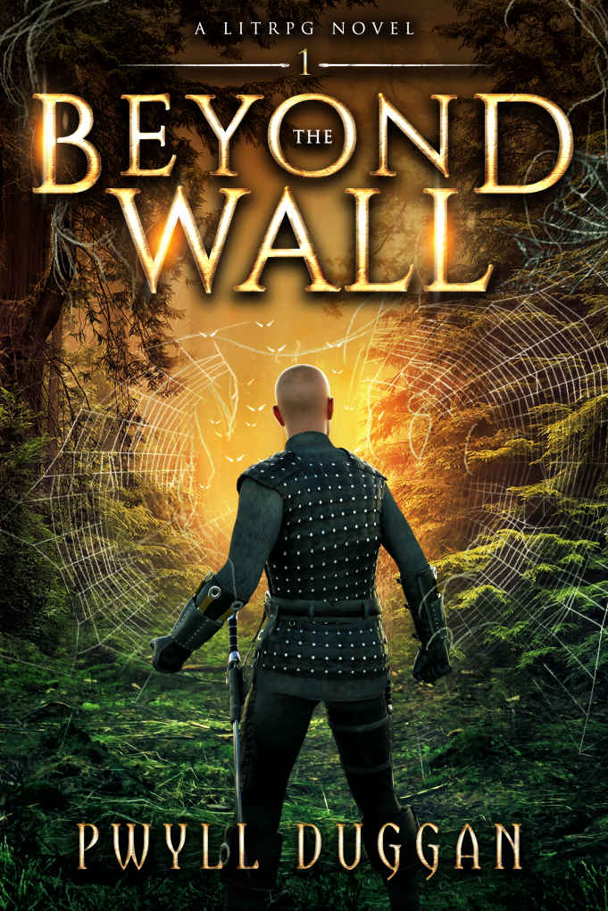 Beyond The Wall