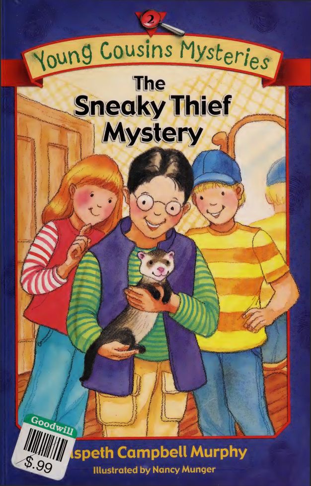 The Sneaky Thief Mystery