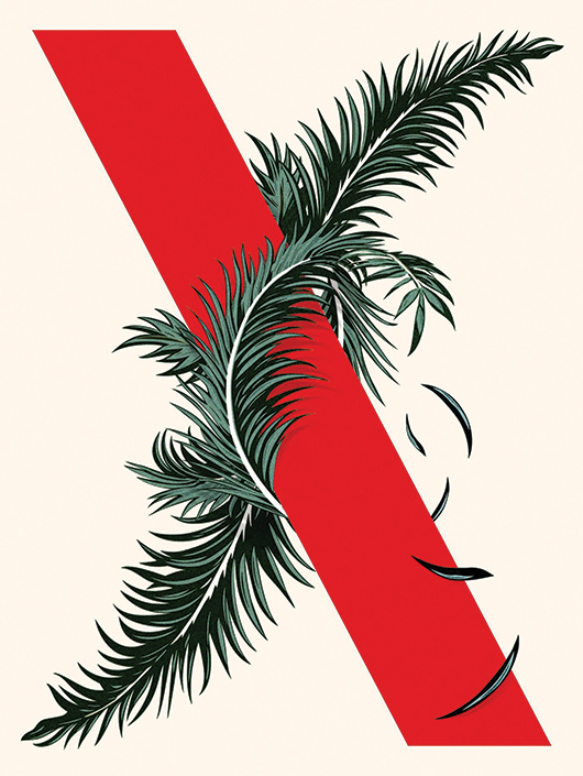 Area X Three Book Bundle