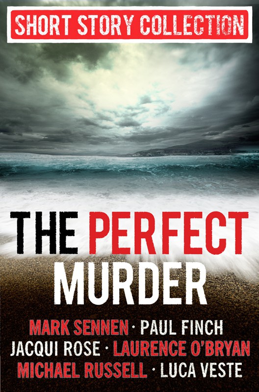 The Perfect Murder