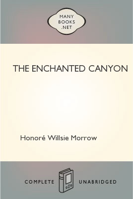The Enchanted Canyon