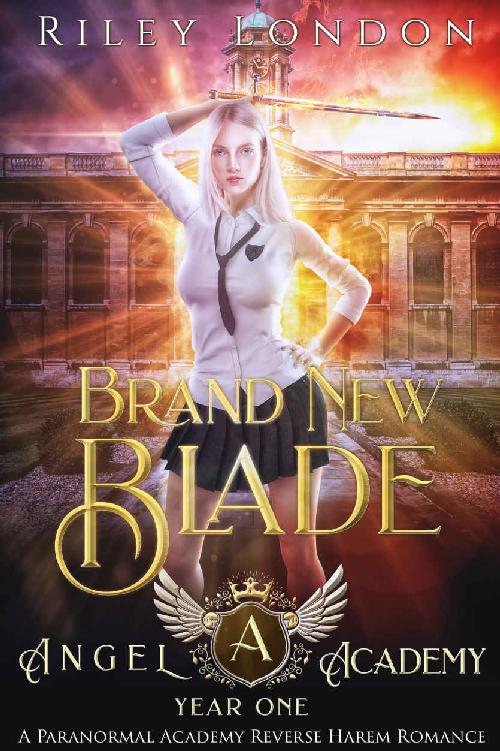 Brand New Blade: A Paranormal Academy Reverse Harem Romance (Angel Academy Book 1)