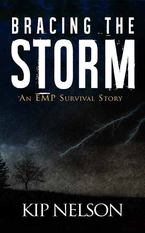 Bracing The Storm: An EMP Survival Story (Survival Series Book 3)