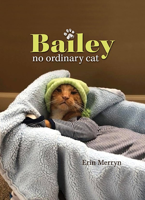 Bailey- No Ordinary Cat