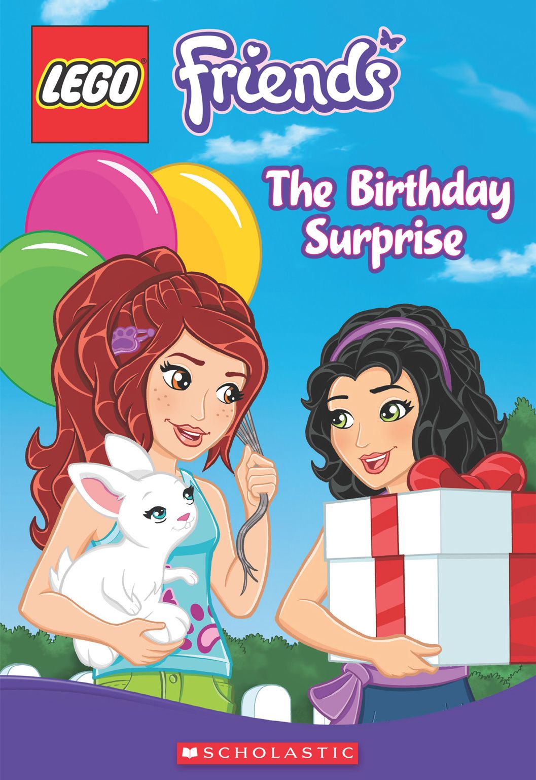 The Birthday Surprise