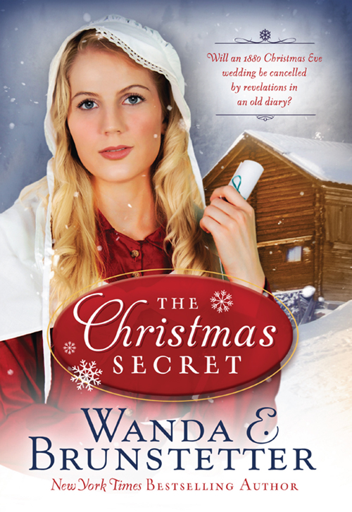 The Christmas Secret