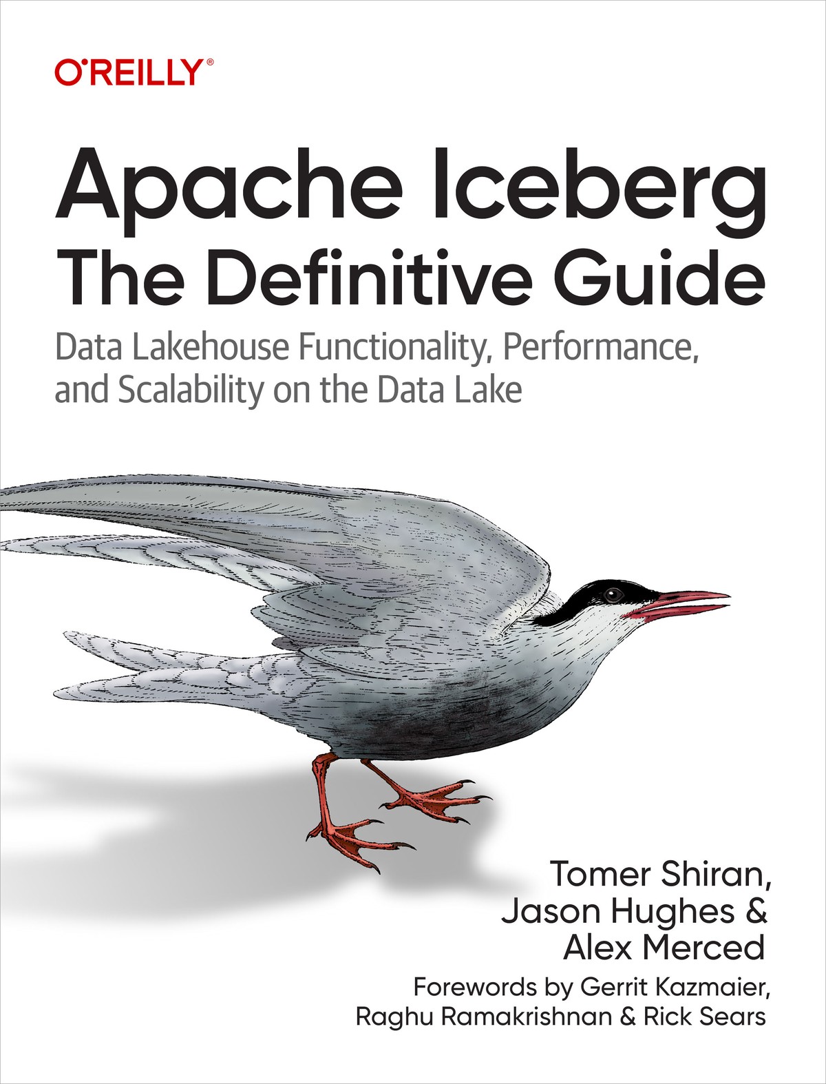 Apache Iceberg