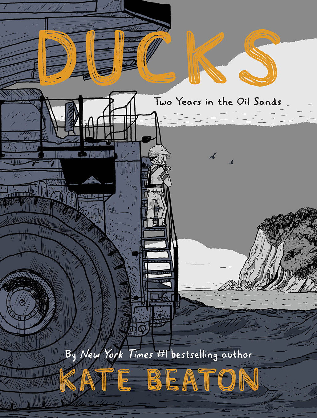 Ducks : Two Years in the Oil Sands (9781770466531)