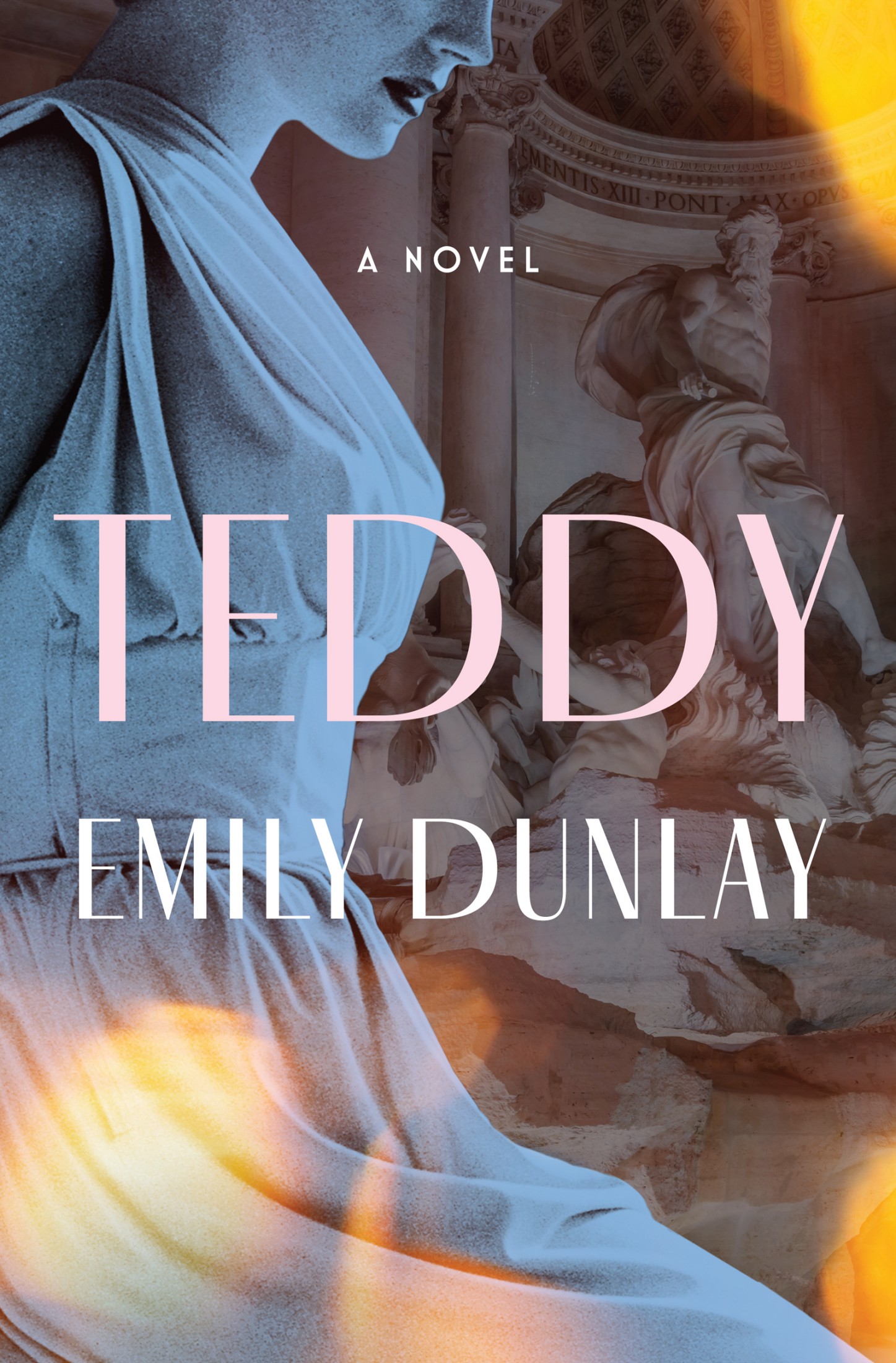 Teddy