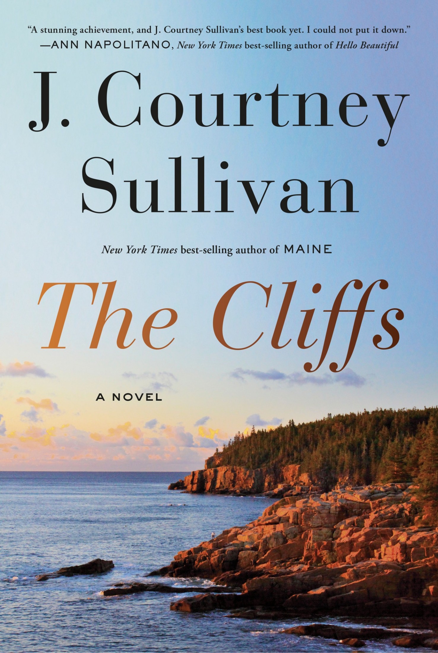 The Cliffs: A novel