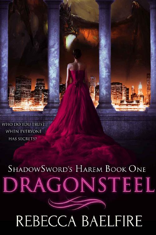 Dragonsteel_Shadowsword's Harem_Book One