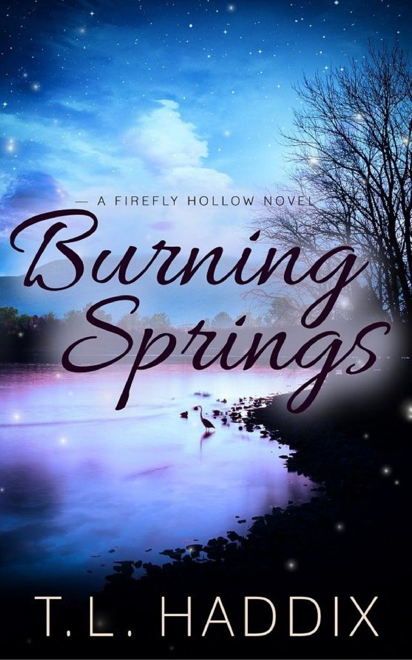Burning Springs: Firefly Hollow, #13