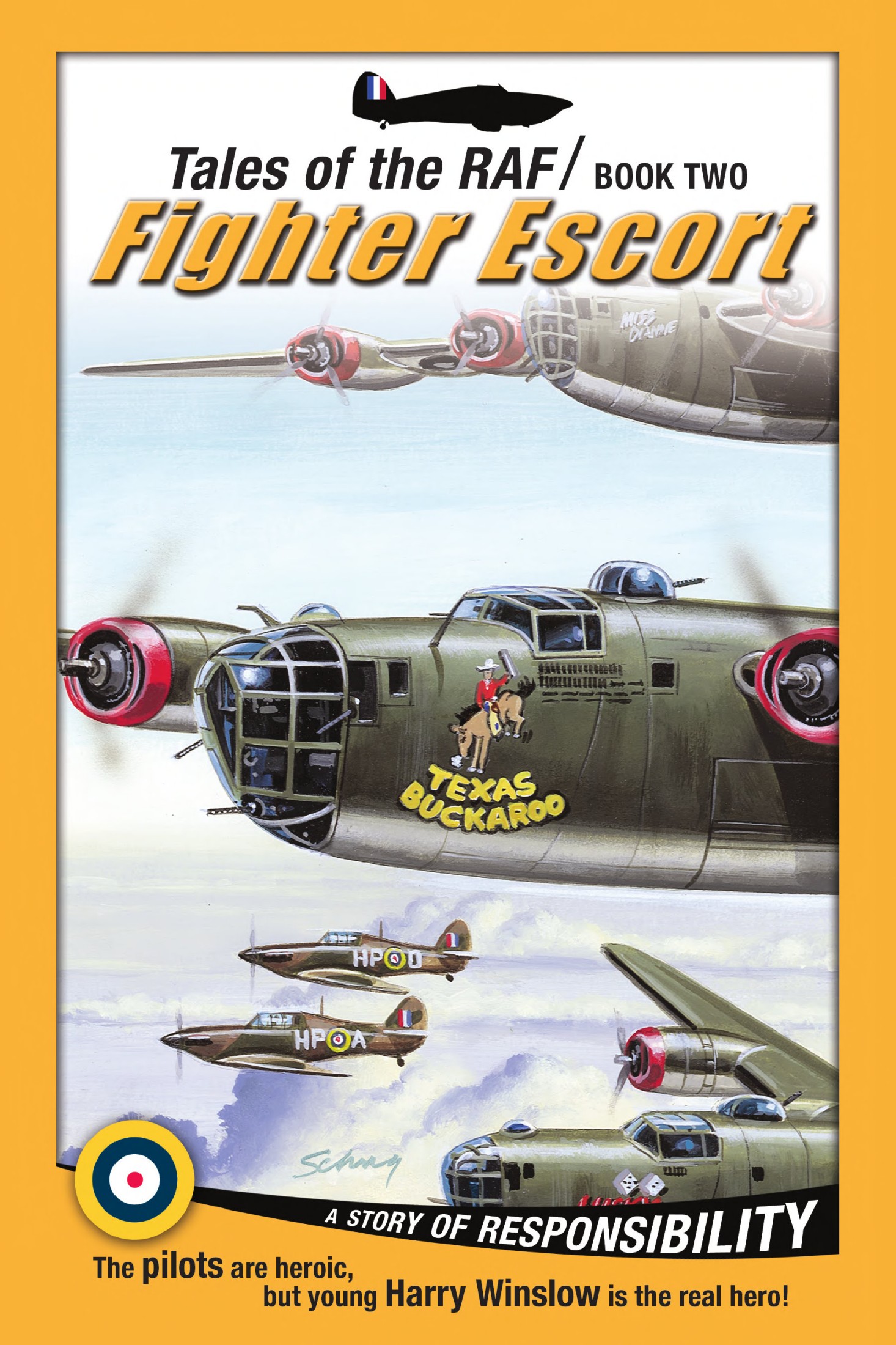 Fighter Escort