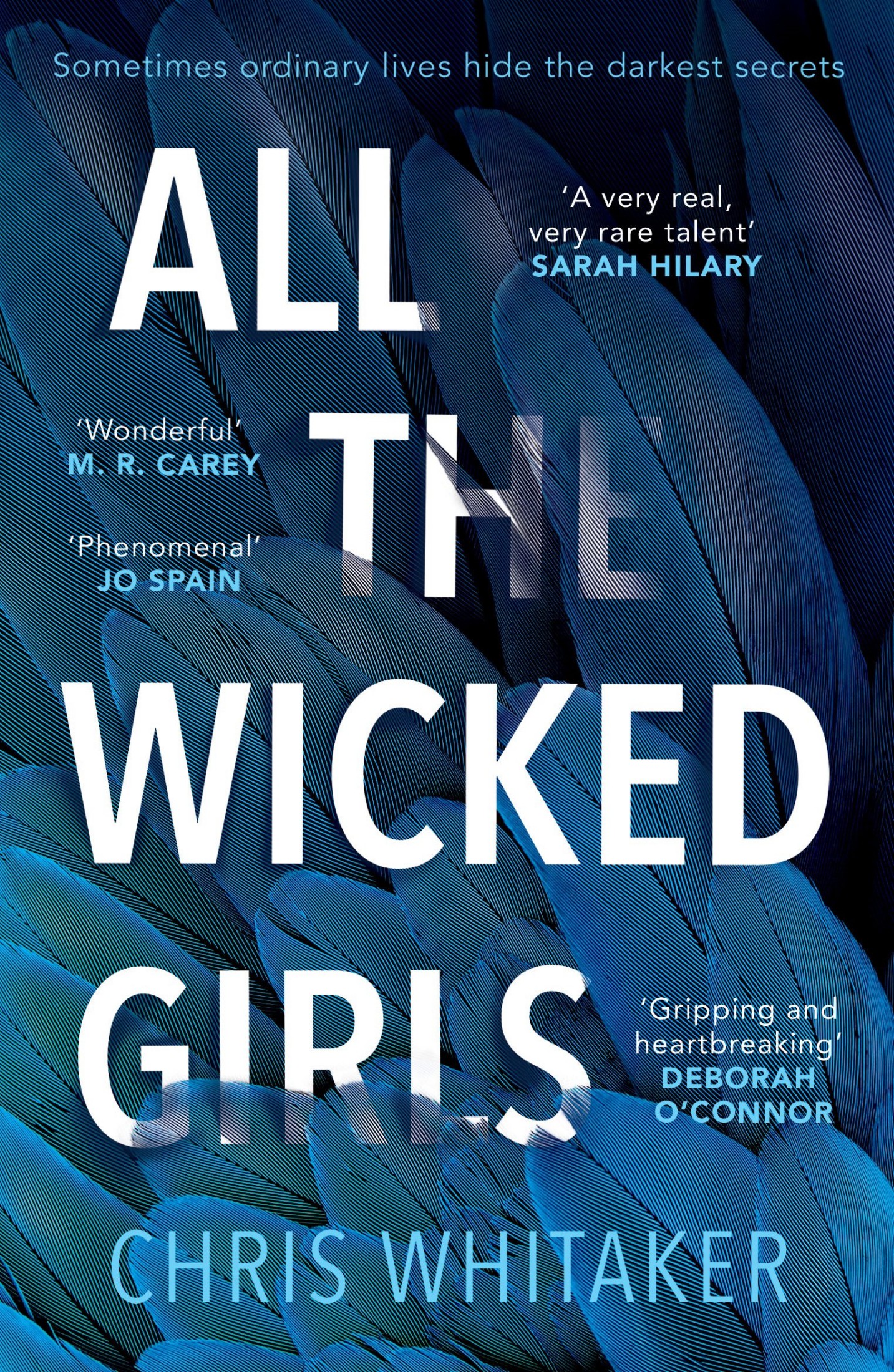 All the Wicked Girls: The Addictive Thriller With a Huge Heart, for Fans of Lisa Jewell