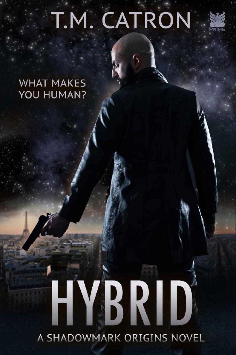 Hybrid
