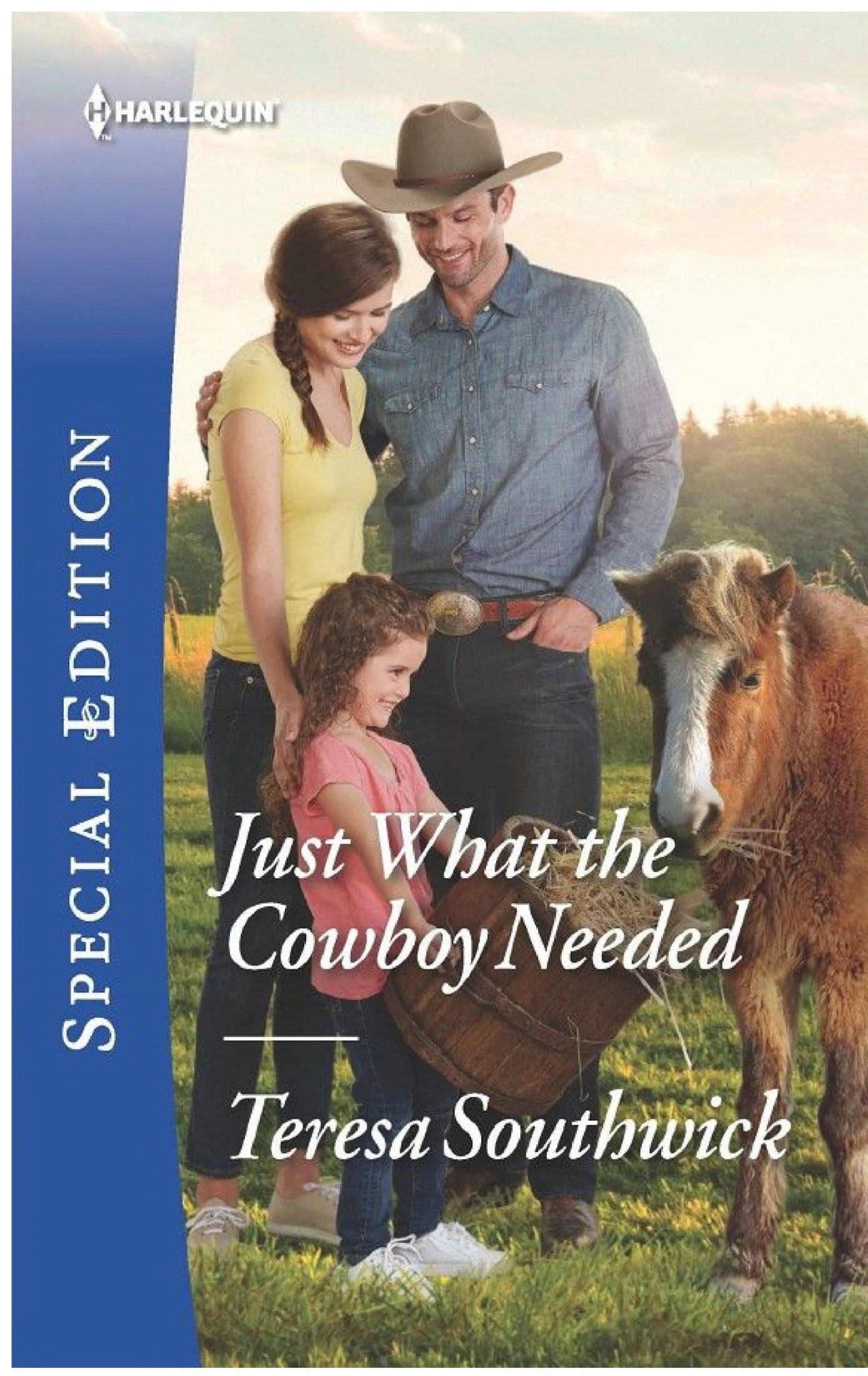 Just What the Cowboy Needed