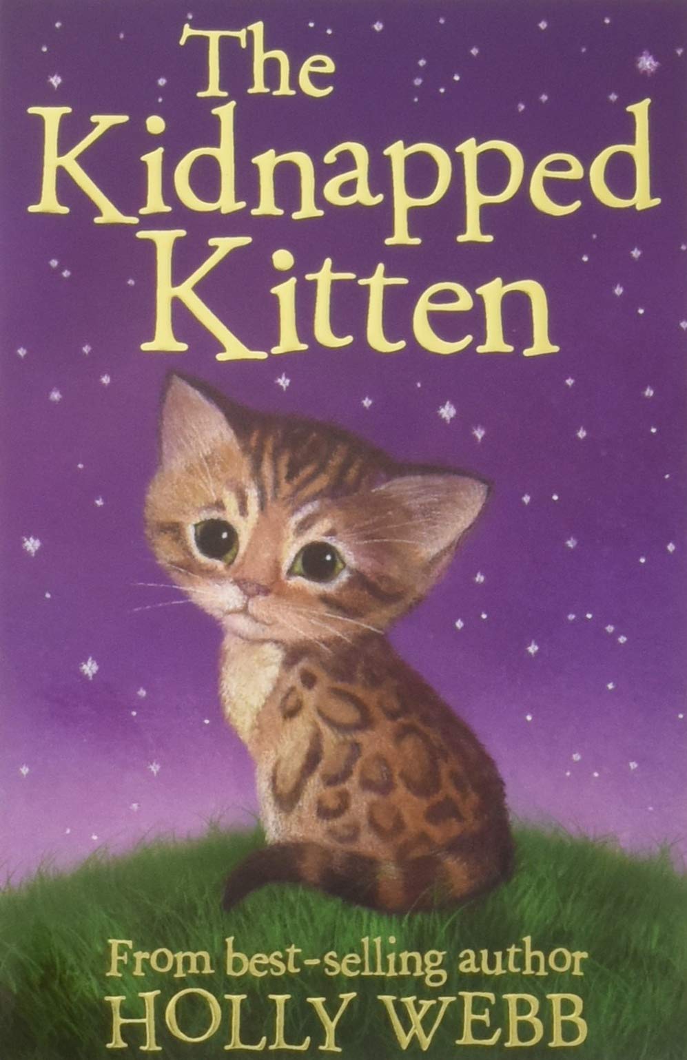 The Kidnapped Kitten Holly Webb, Sophy Williams