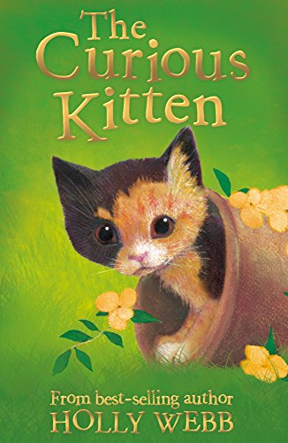 Sammy the Shy Kitten