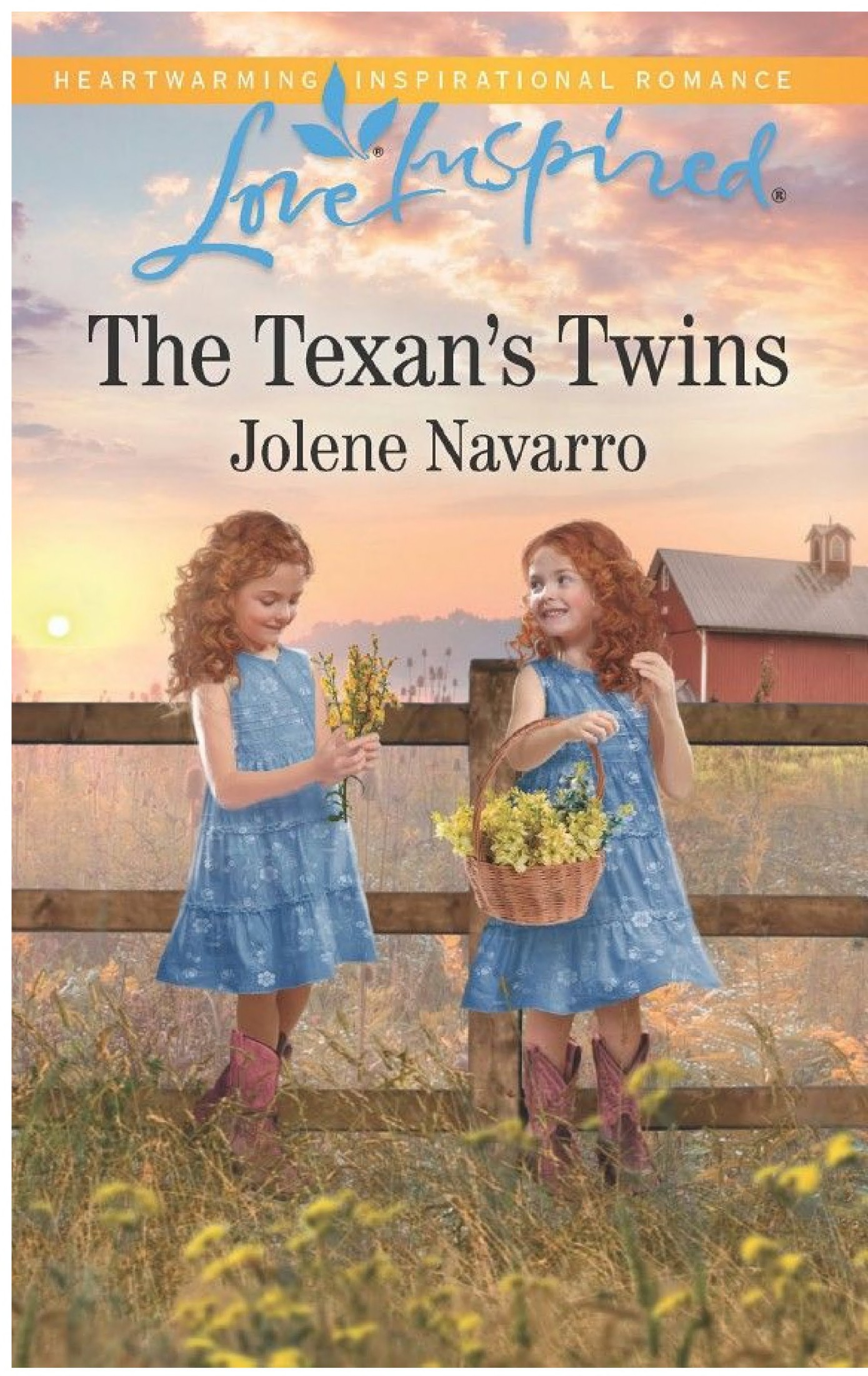 The Texan's Twins