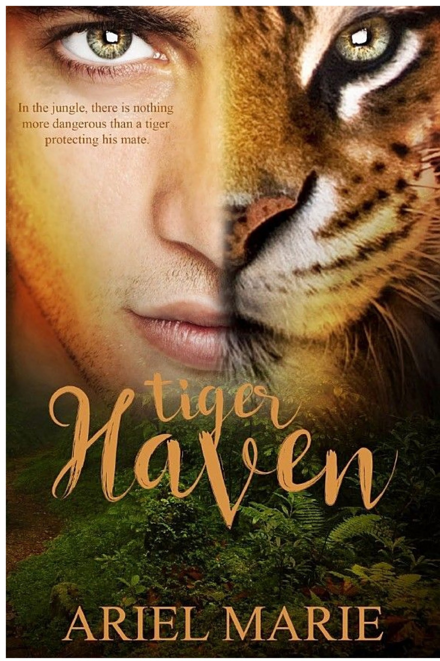 Tiger Haven