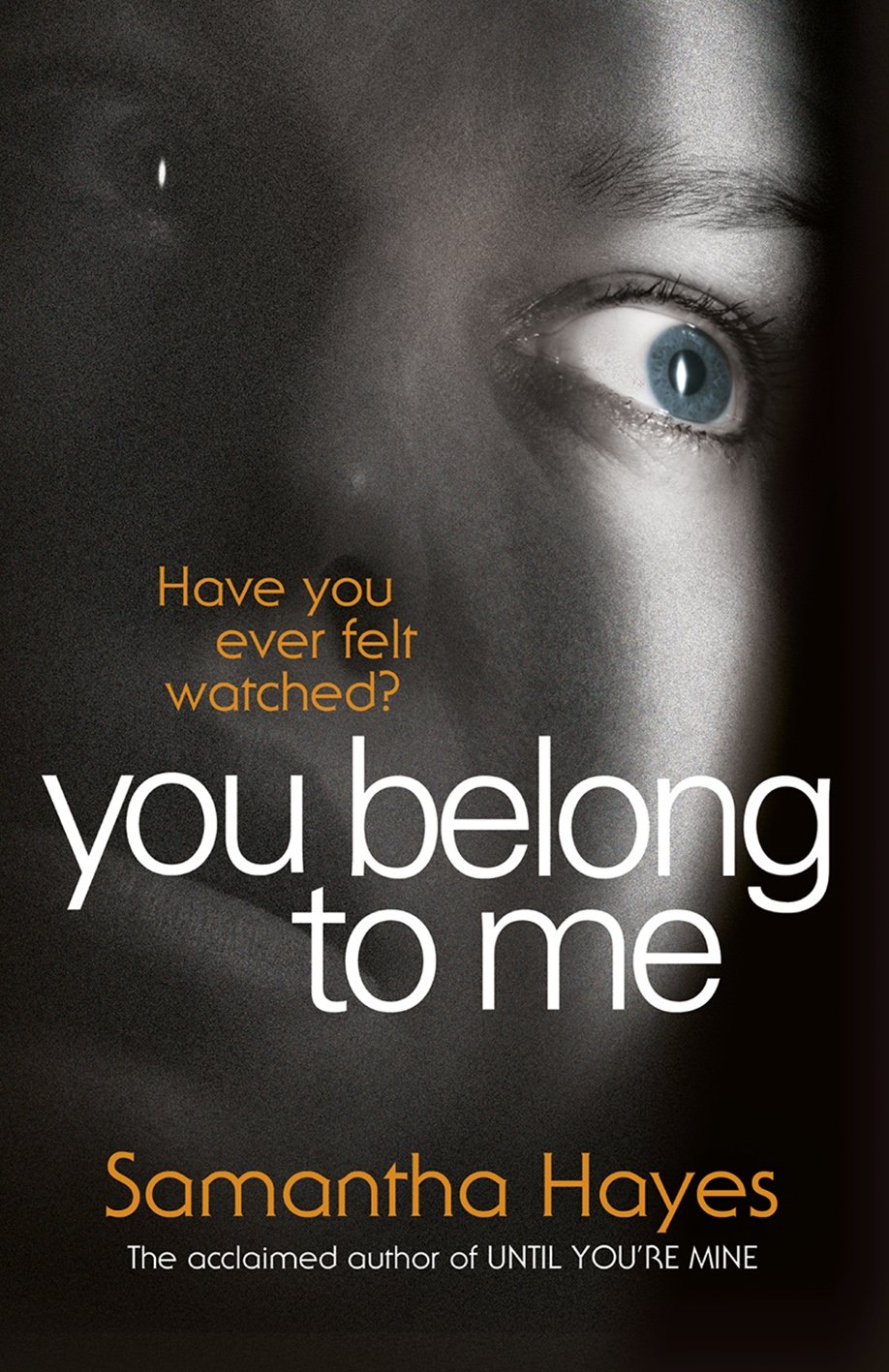I Don't Belong to You