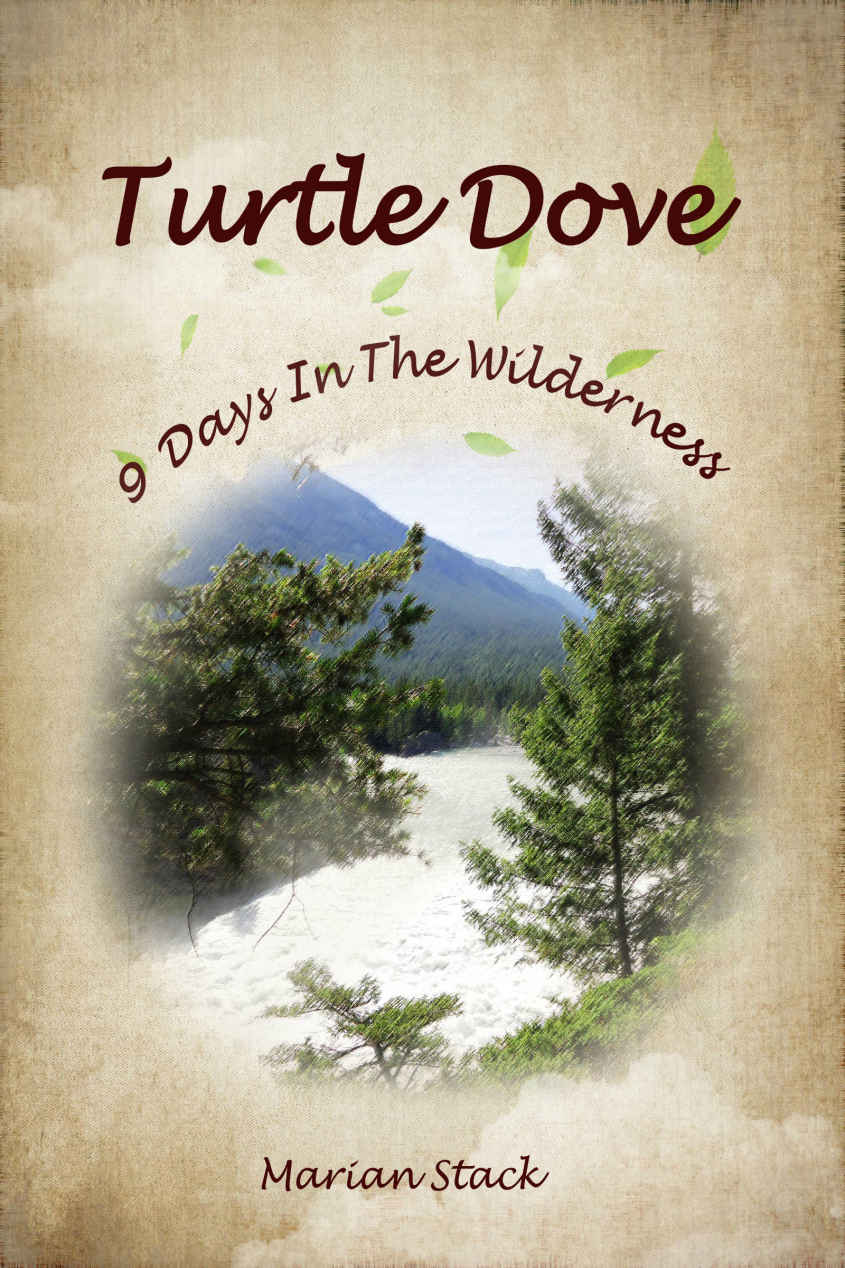 Turtle Dove