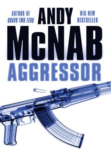 Aggressor: (Nick Stone Thriller 8)