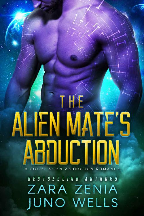 The Alien Mate's Abduction