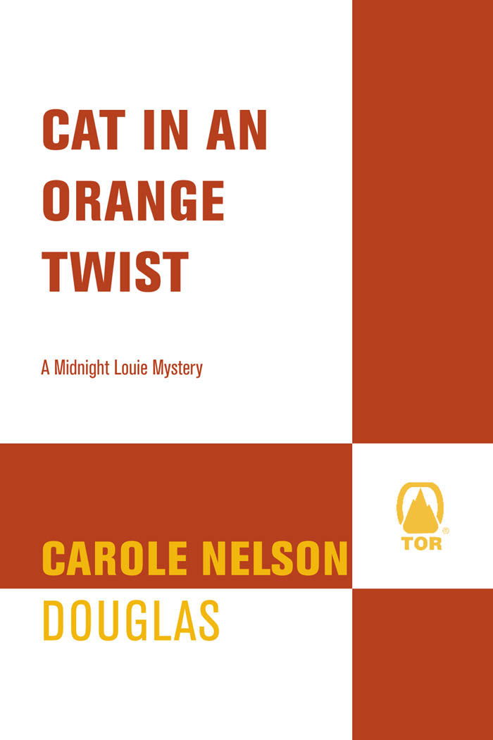 Cat in an Orange Twist