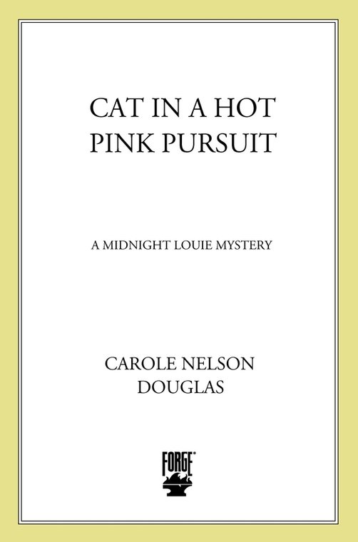 Cat in a Hot Pink Pursuit