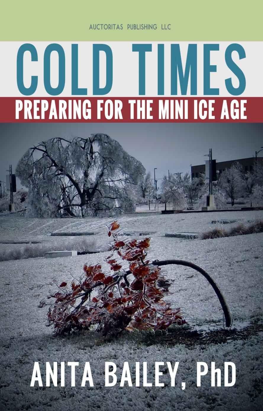 Cold Times — How to Prepare for the Mini Ice Age
