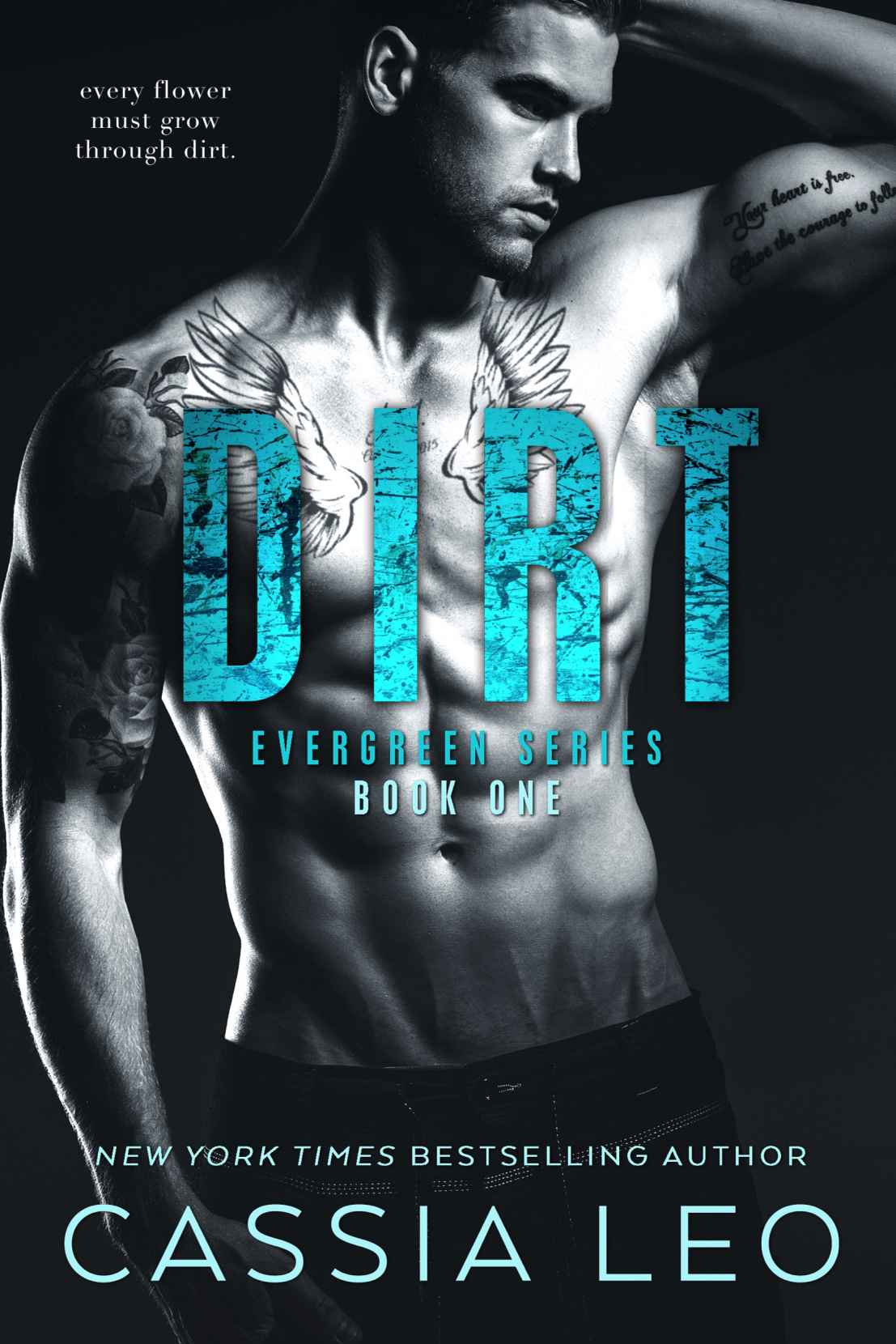 Dirt_Evergreen Series Book One