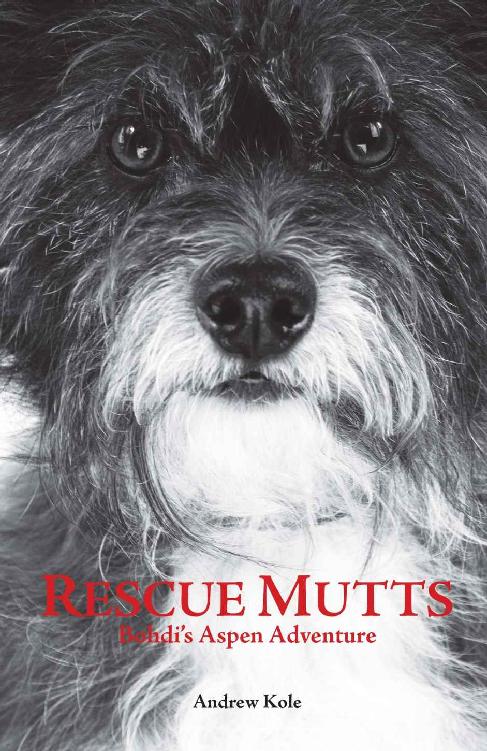 Rescue Mutts_Bohdi's Aspen Adventure